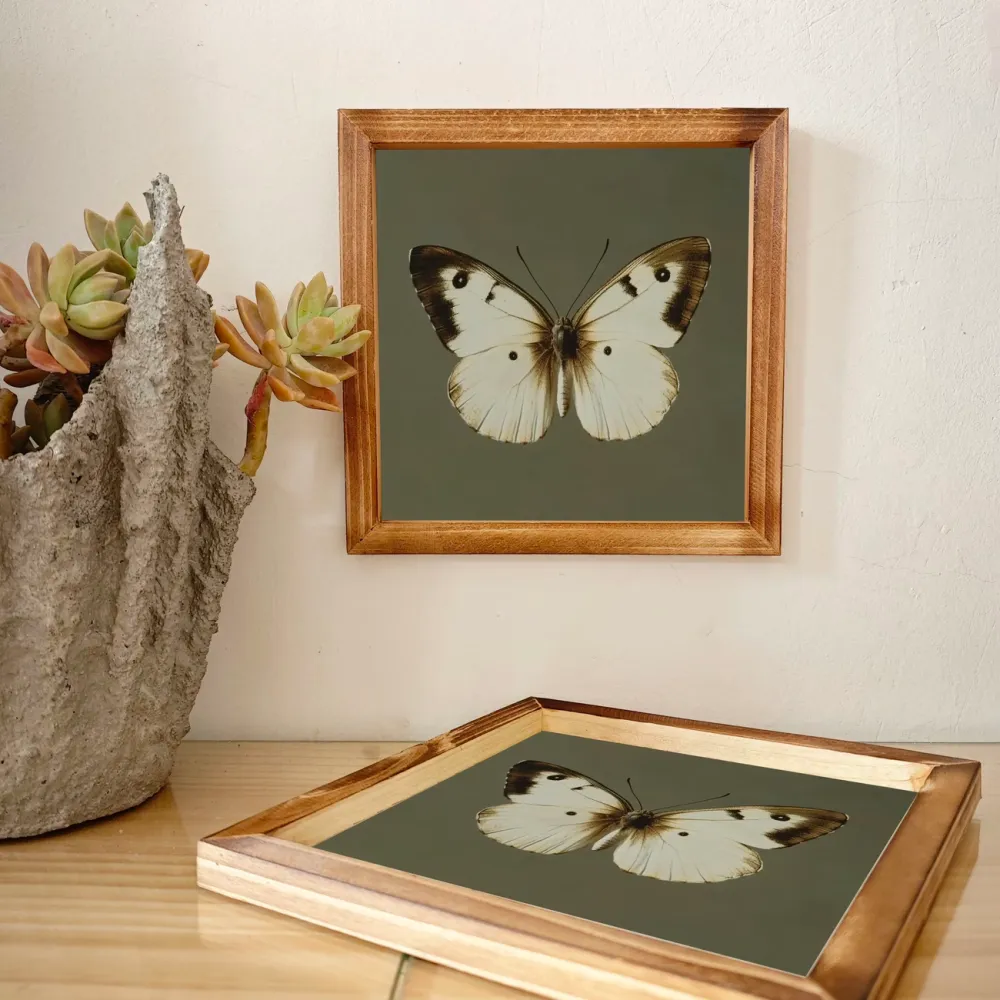 Butterfly Print Wooden Frame Art