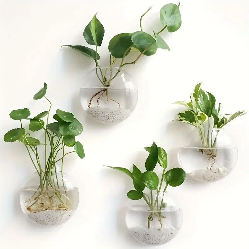 2 Pcs Round Glass Wall Vase
