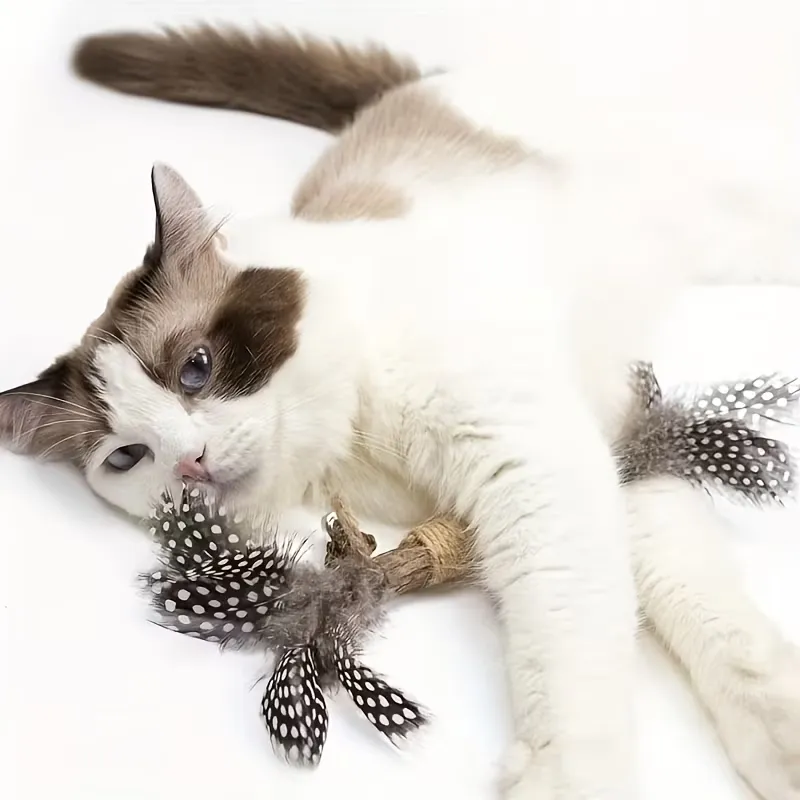 Feather Cat Chew Stick