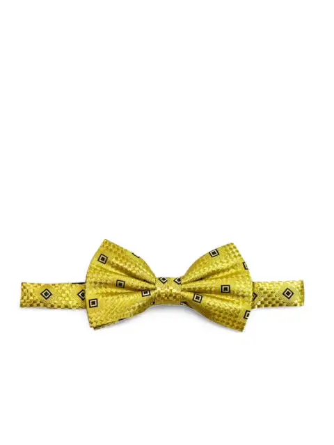 Tailored Patterned Silk Bow Tie