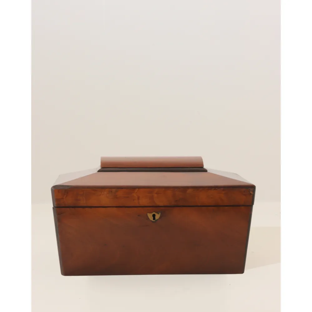 Rosewood Sarcophagus Tea Caddy Box
