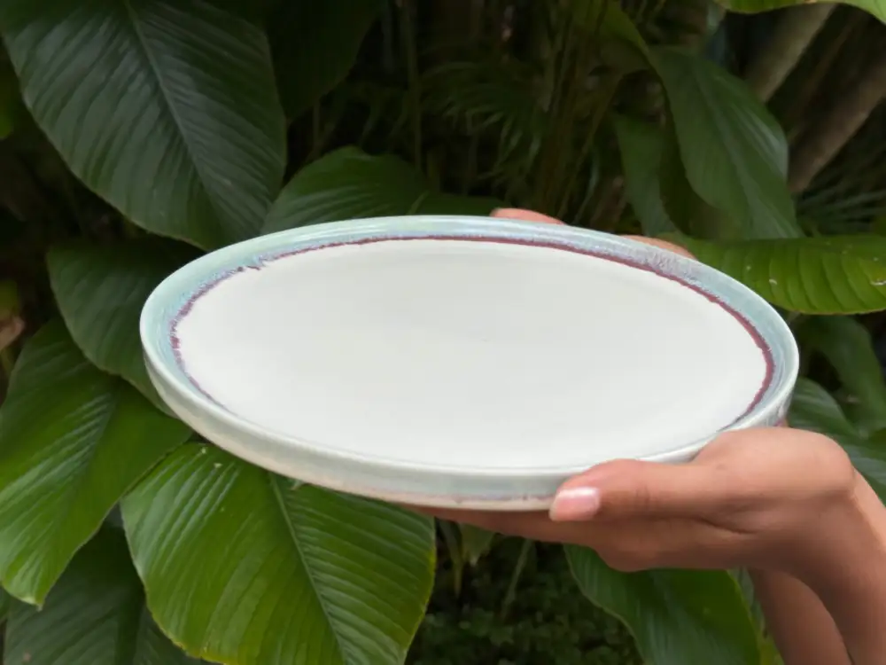 Raised Edge Serving Dinner Plate