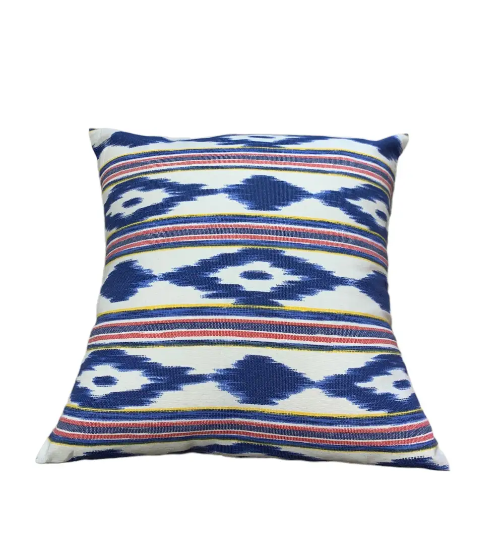 Assorted Cotton Throw Pillow