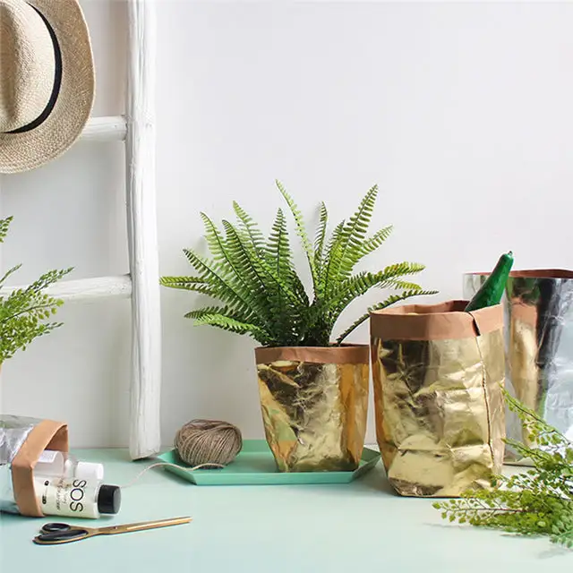 Washable Kraft Storage Bag