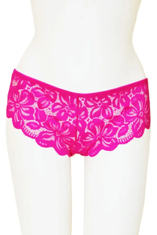 Everyday Floral Lace Elastic Waist Hipster Panty