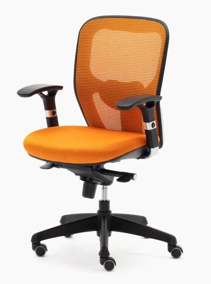 Adjustable Support Office Chair