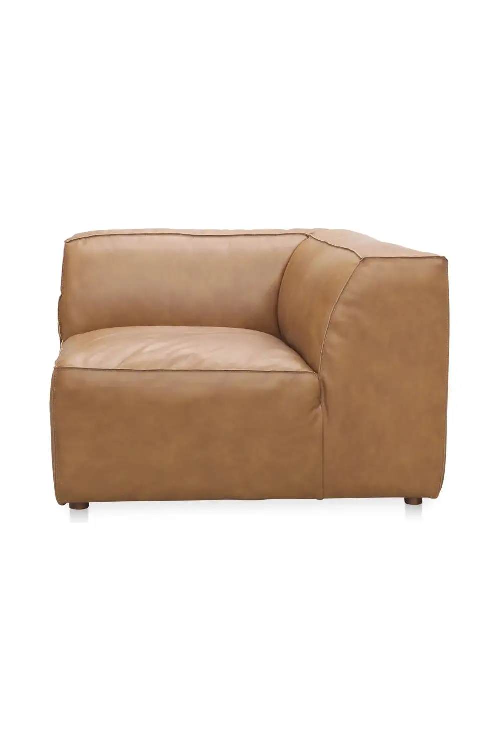 Leather Lounge Chair