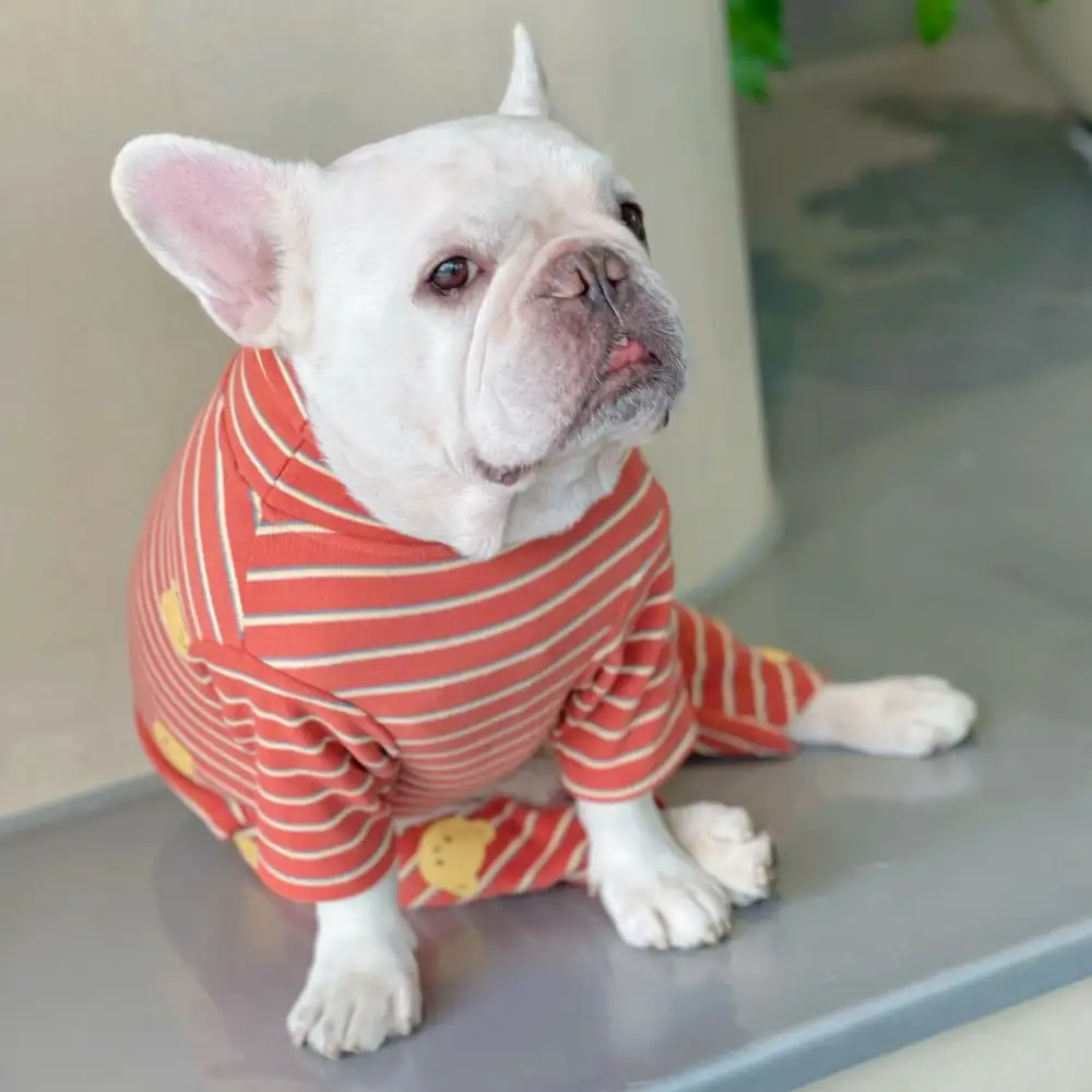 Soft Everyday Pet Bear Jumpsuit
