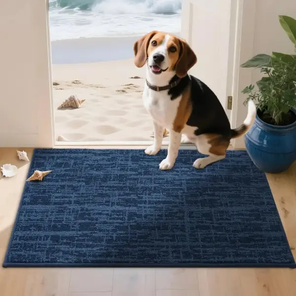 Soft Abstract Indoor Door Rug