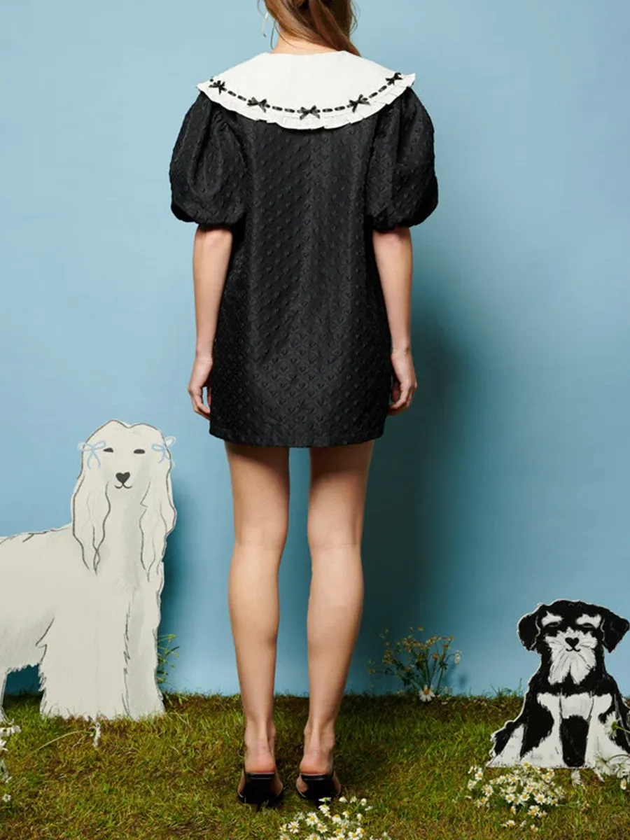 Bow Collar Dress
