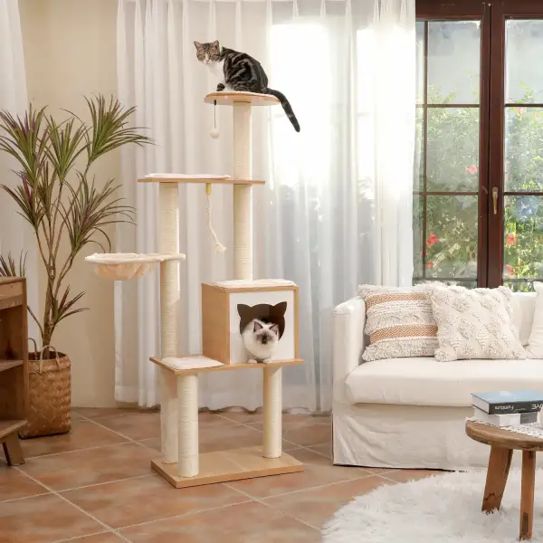 Comfortable Cat Climbing Tree