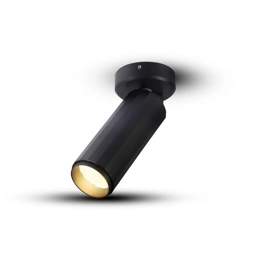 Ambient Surface Adjustable LED Downlight Dimmable Beam Angle
