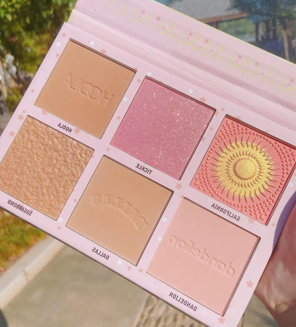 Fine Detail Blush Makeup Compact
