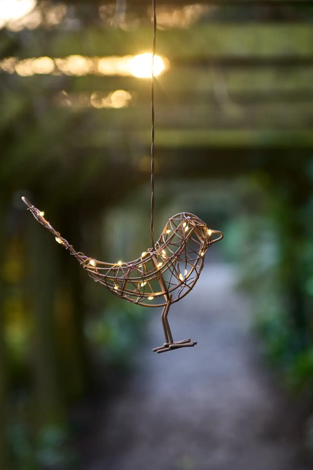 LED Hanging Decorative Light