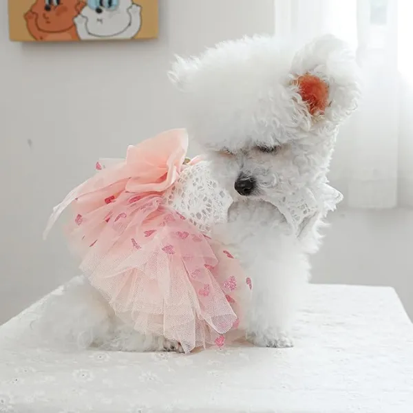 Heart Practical Functional Dog Dress