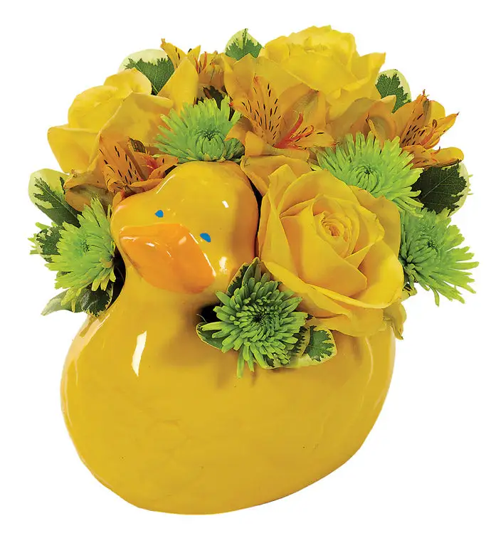 Duck Shape Accent Planter