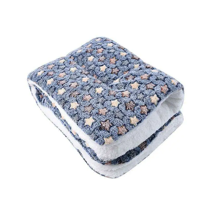 Plush Velvet Pet Blanket