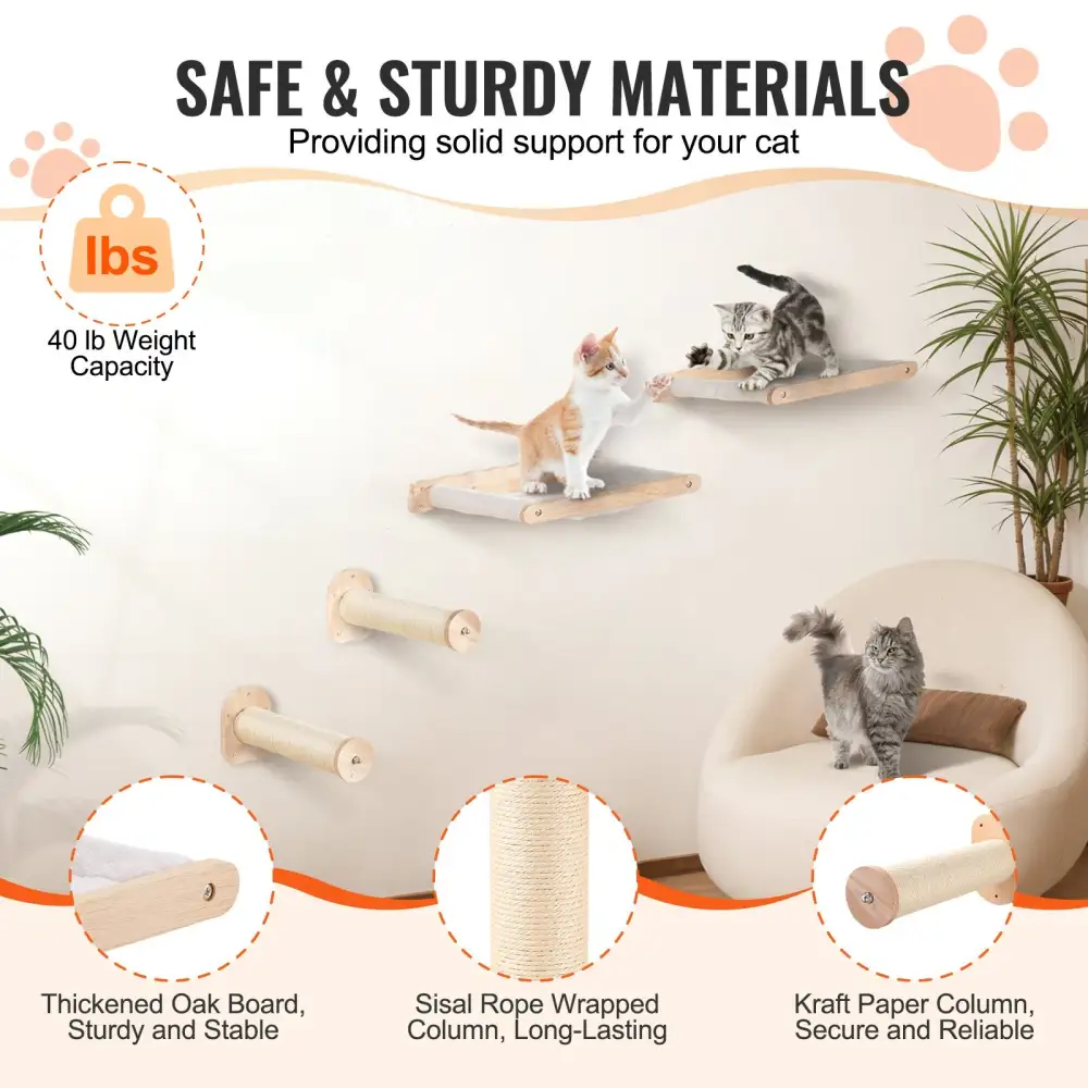 Wall Mounted Cat Shelves Everyday