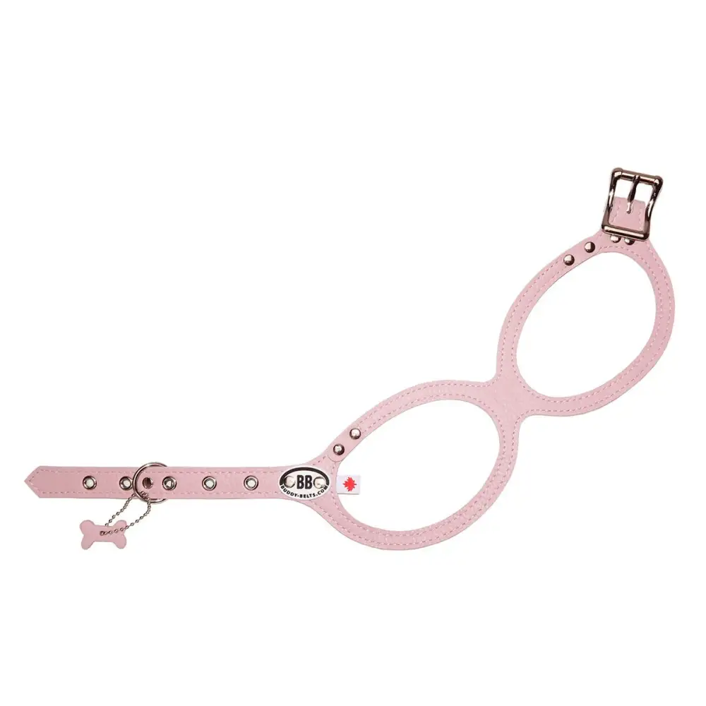 Round Handy Polished Dog Harness