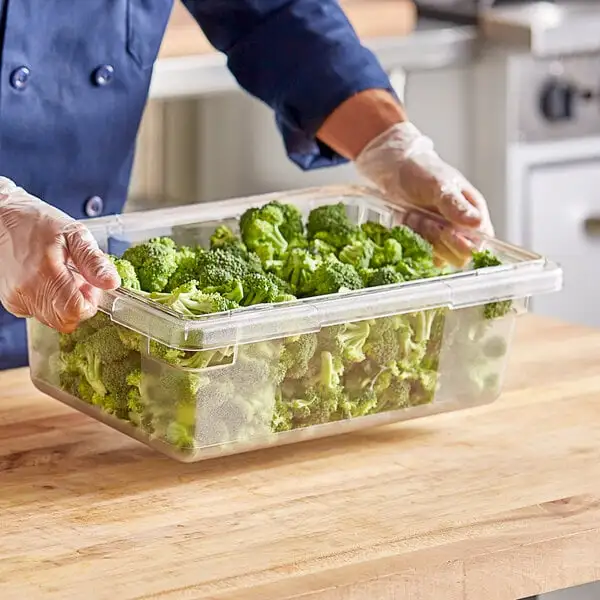 Compact Polycarbonate Food Storage Box