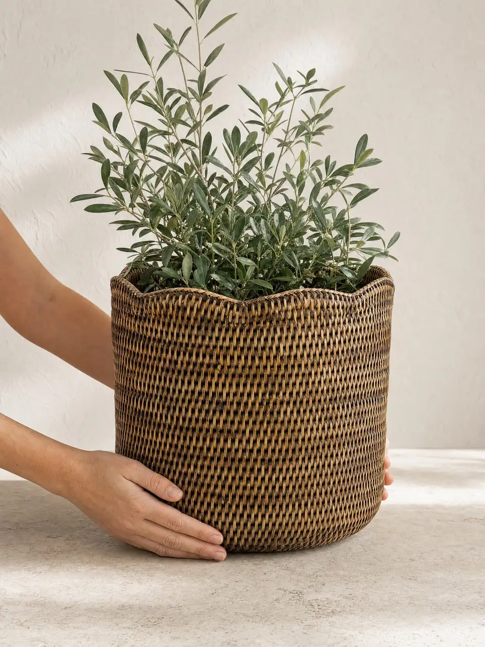 Modern Woven Rattan Round Decorative Table Vase