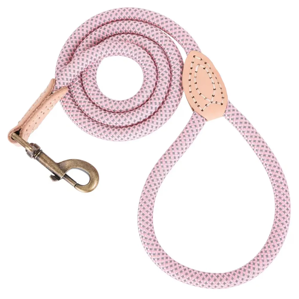 Braided Pet Leash