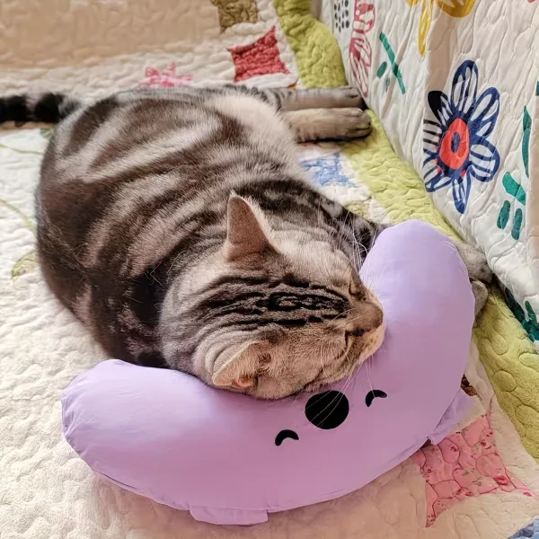 Cute Koala Pet Pillow