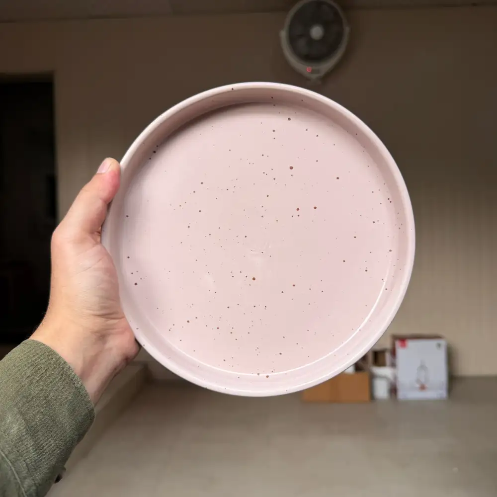 Everyday Serving Ceramic Dining Plate