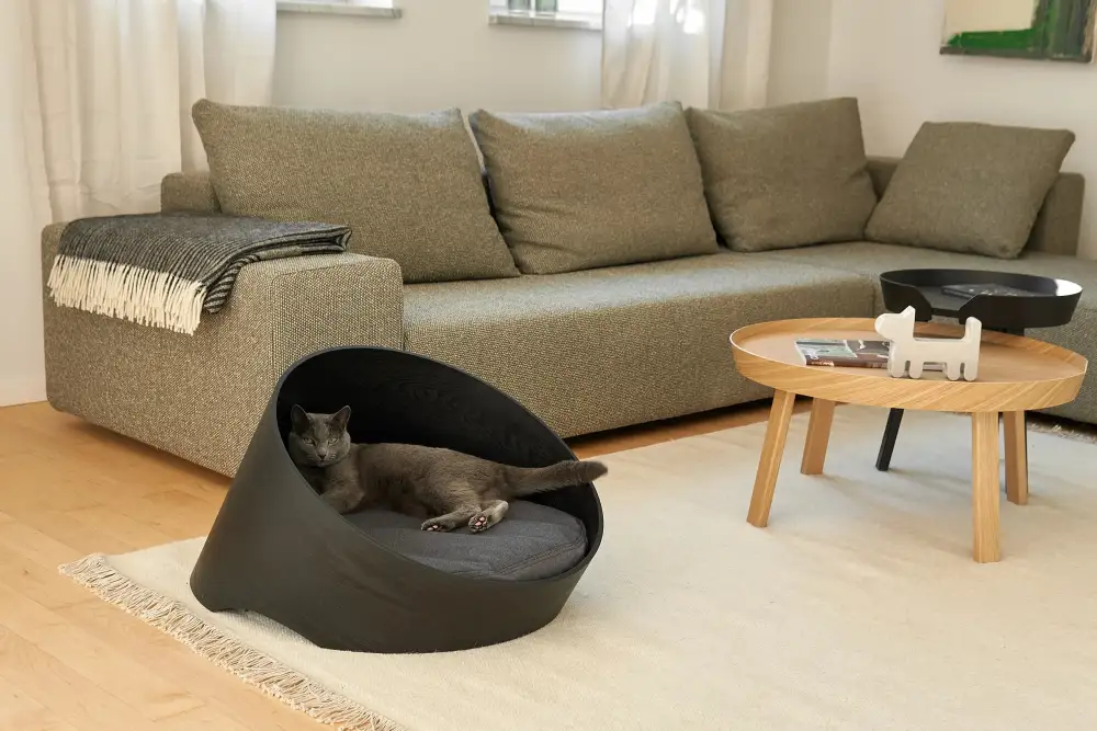 Modern Cat Rest Basket