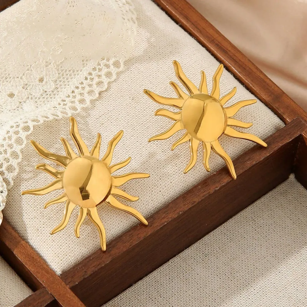 Metal Stainless Steel Vintage Earrings