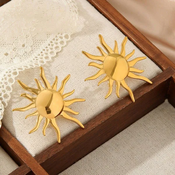 Metal Stainless Steel Vintage Earrings