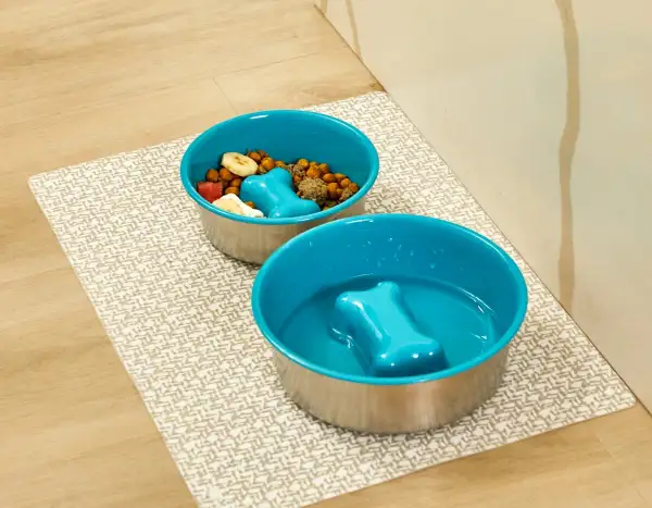 Bone Pattern Slow Feeding Bowl
