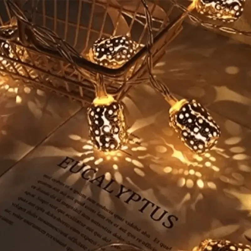 SERIES 14 Metal Gold Rice LED Light (M12)