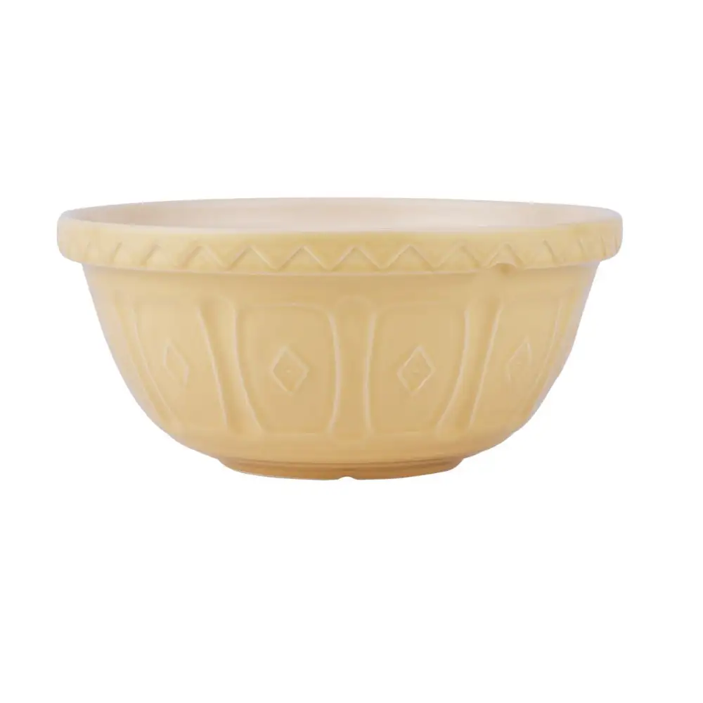 Modern Serving Mixing Dining Bowl