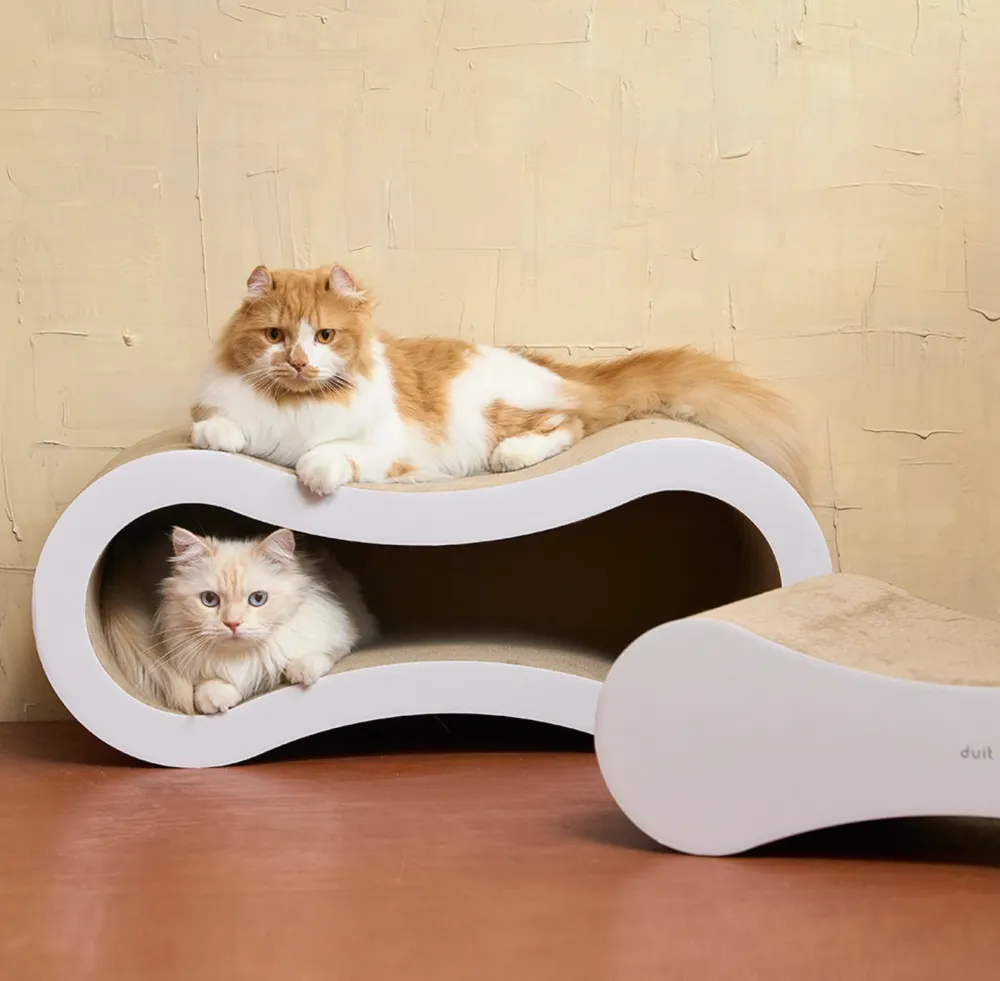 Curved Cat Scratching Board