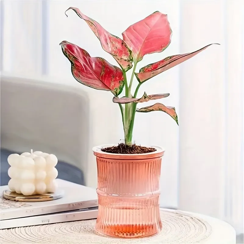 Indoor Self-Watering Planter