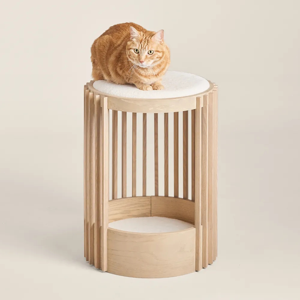 Everyday Cat Climbing Tower