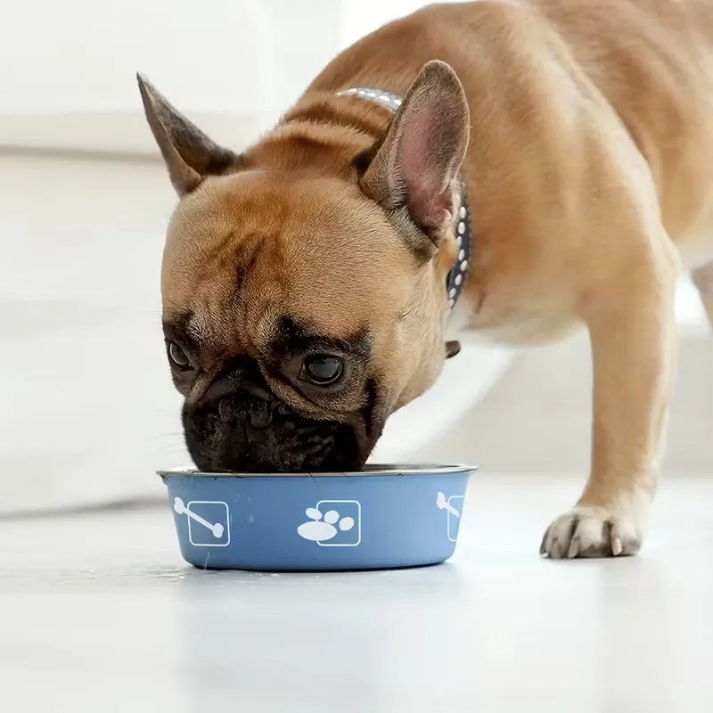 Personalized Quick-Drying Pet Feeding Mat