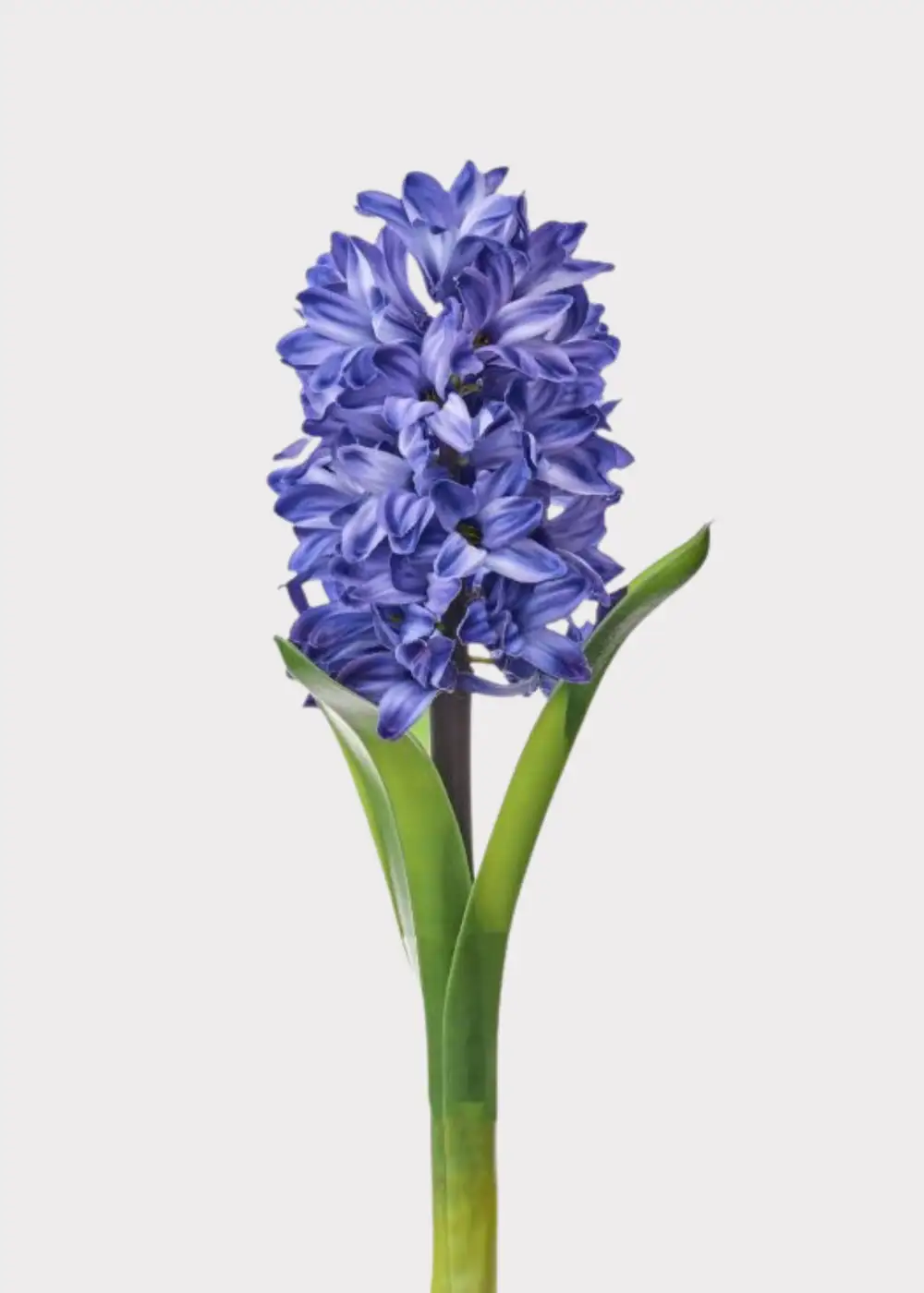 Artificial Hyacinth Floral Stem