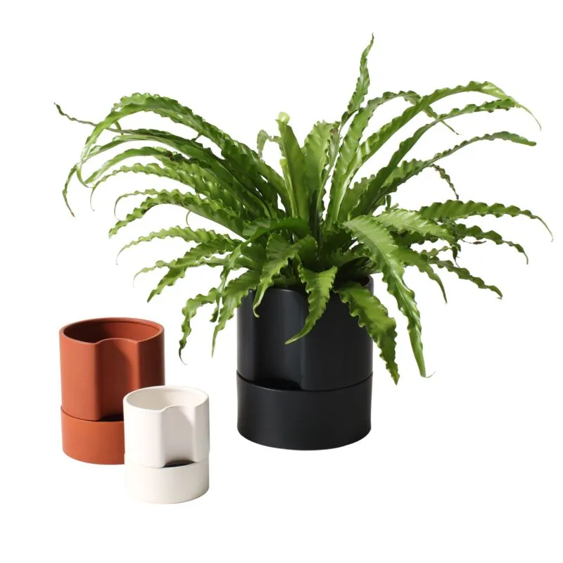 Minimal Pot With Saucer