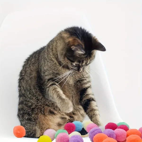 Pet Ball Launcher Set