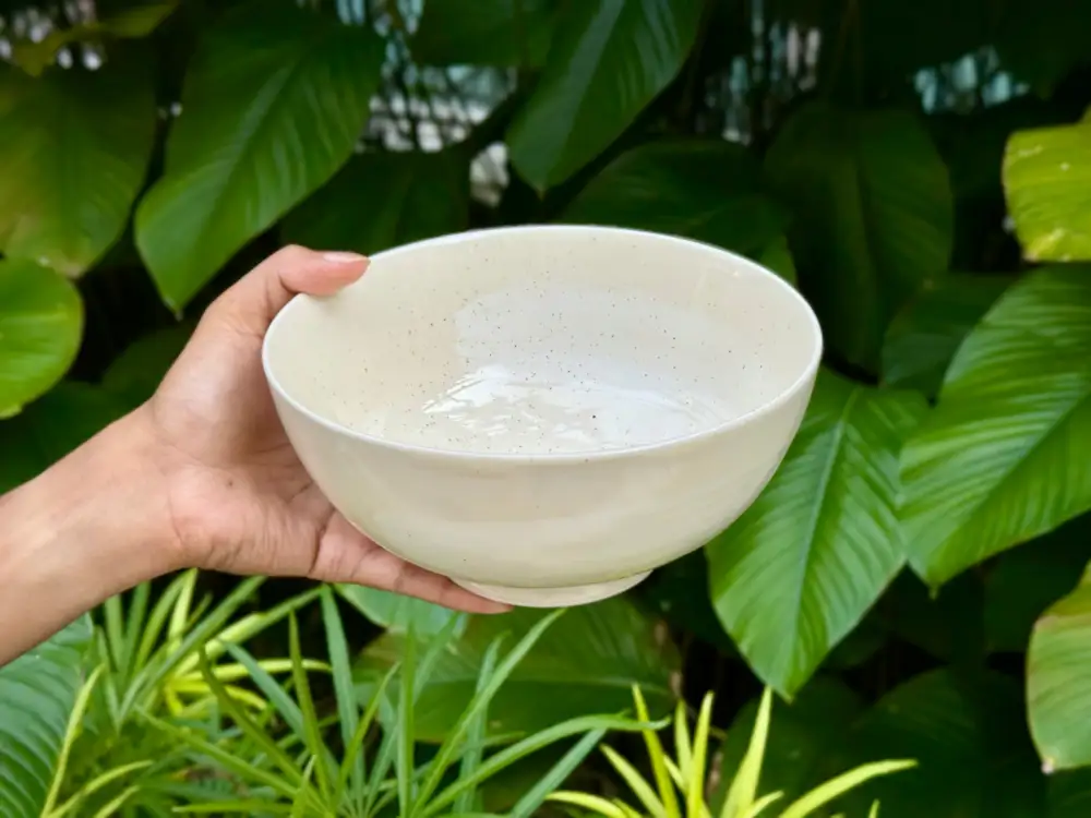 Smooth Rounded Serving Dining Bowl