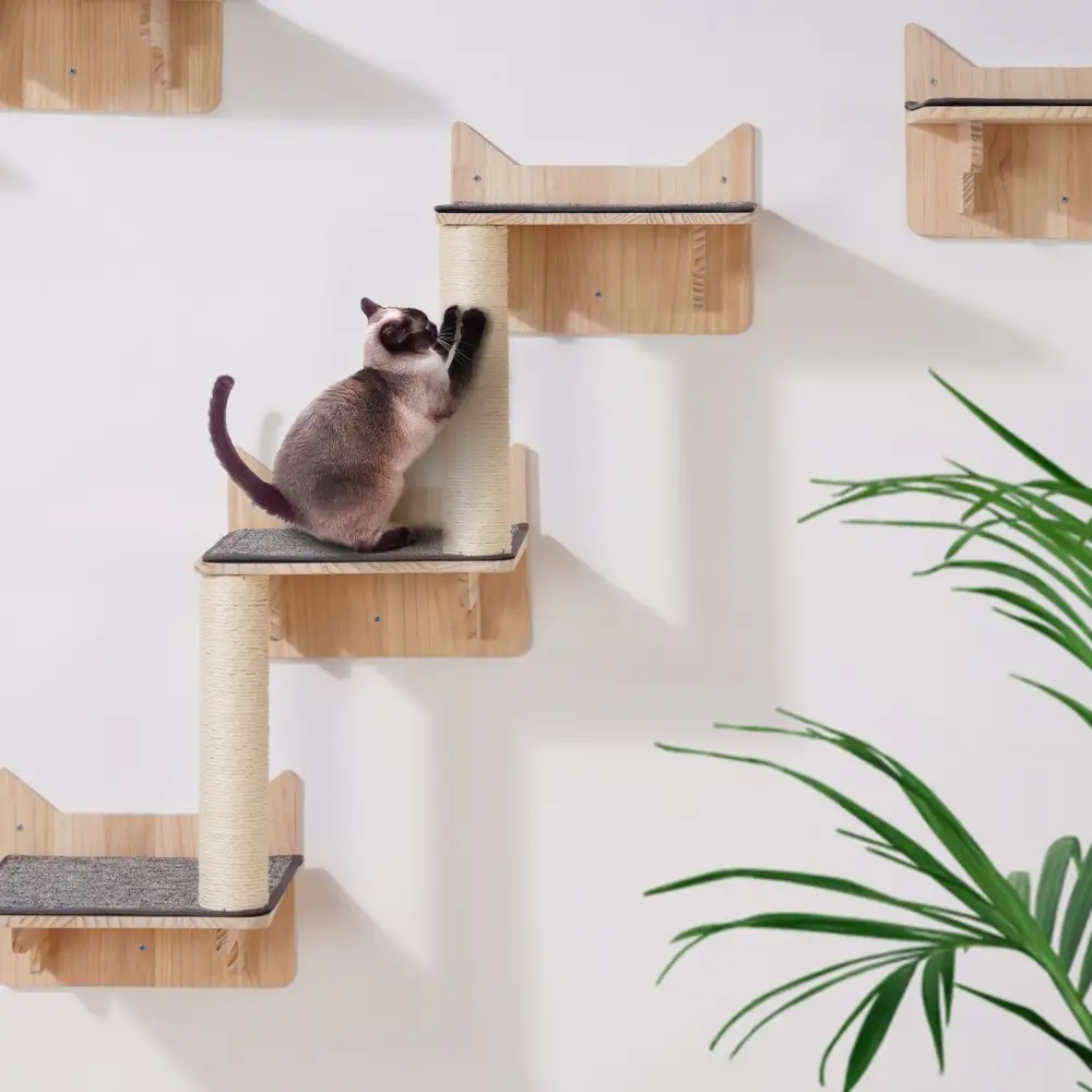 Wall Mounted Cat Shelves