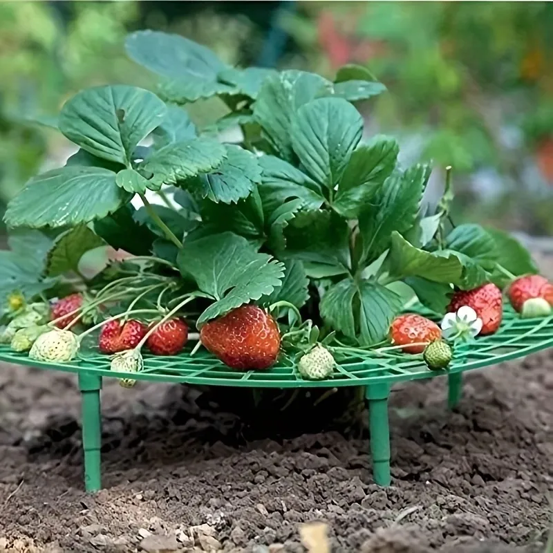 5 Pcs Strawberry Plant Support Frame