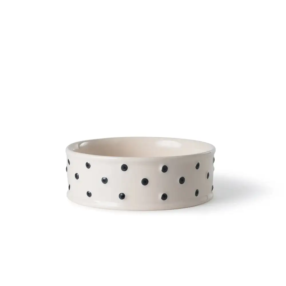 Raised Handy Lightweight Pet Bowl