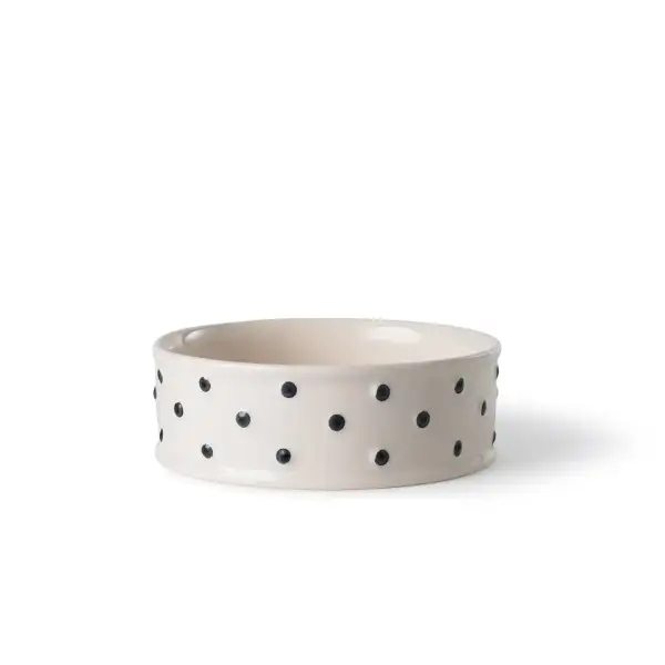 Raised Handy Lightweight Pet Bowl