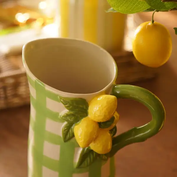 Check Ceramic Water Jug