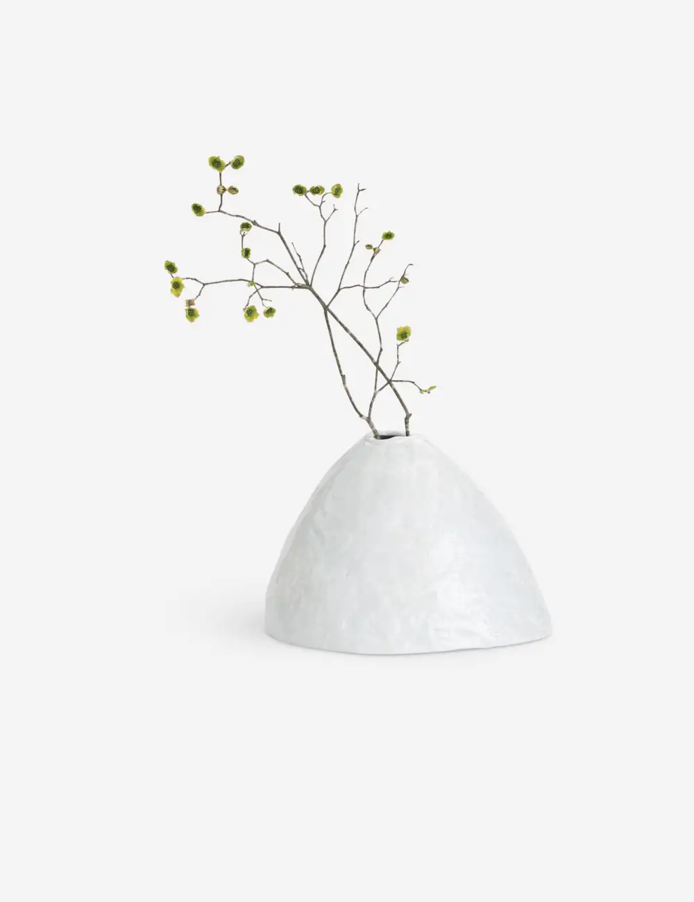 Organic Modern Decorative Vase