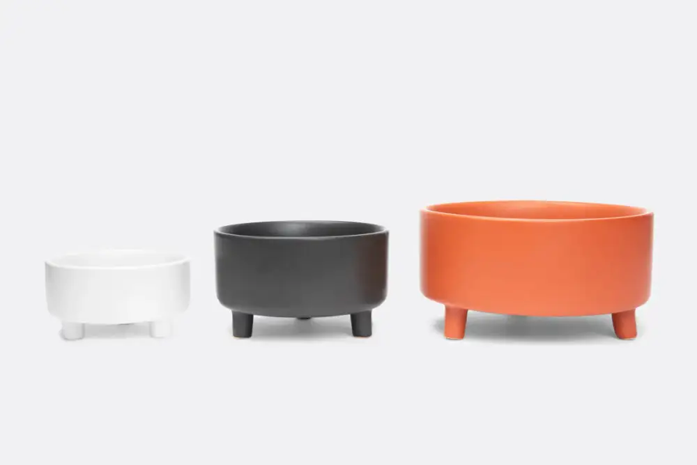 Footed Ceramic Dog Bowl