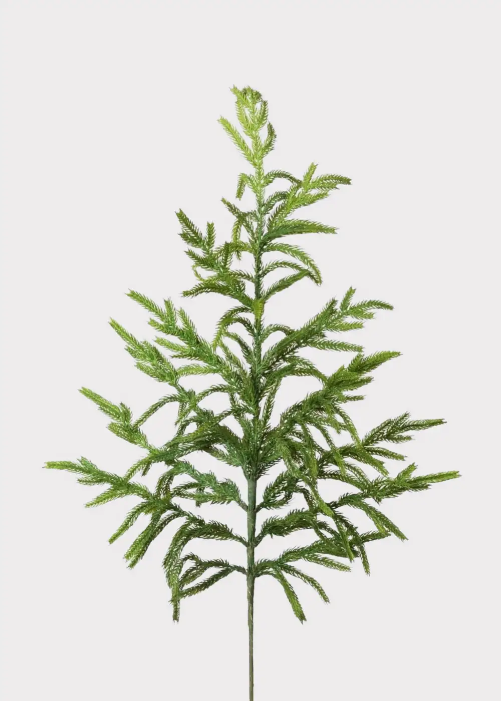 Artificial Pine Branch